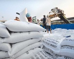 Từ đầu năm 2020, Việt Nam xuất khẩu gạo được gần 1 tỷ USD