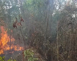Quảng Trị: Nguy cơ cháy rừng trong thời điểm nắng nóng kéo dài
