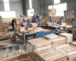 Ngành gỗ đề xuất giải pháp gỡ khó của doanh nghiệp trong điều kiện bình thường mới