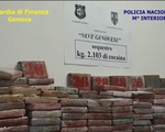 Colombia thu giữ lượng cocaine 'khủng' trị giá 265 triệu USD trong các container