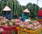 Xuất khẩu rau quả giảm tại Trung Quốc, tăng 'khủng' ở các thị trường mới