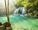 Bảo tồn thiên nhiên, Thái Lan đóng cửa công viên 133 quốc gia