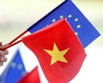 Truyền thông châu Âu hoan nghênh Việt Nam phê chuẩn EVFTA