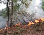 Nghệ An: Cháy rừng thông và keo ở xã Diễn Lộc lan rộng