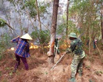 Cháy rừng liên tục ở Nghệ An: Vấn đề từ ý thức đến phòng cháy