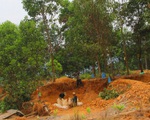Tái diễn tình trạng khai thác vàng trái phép tại Bồng Miêu