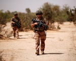 6 công dân Pháp bị sát hại trong một vụ tấn công tại Niger