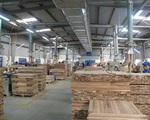 Xuất khẩu gỗ “lội ngược dòng”, khôi phục đà tăng trưởng