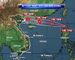 Các tỉnh Bắc Bộ và Bắc Trung Bộ chủ động ứng phó với áp thấp nhiệt đới gần Biển Đông