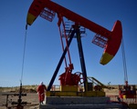 IEA và OPEC hạ dự báo nhu cầu dầu thế giới năm 2020