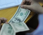 World Bank: Dự trữ ngoại hối tăng chứng tỏ khả năng phục hồi của nền kinh tế Việt Nam