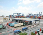 Cảng Cát Lái giải phóng nhanh hơn 1.200 container