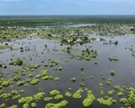 Lụt lội và bệnh dịch tàn phá Nam Sudan