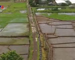 Đắk Lắk: Chú trọng thực hiện tiêu chí thủy lợi trong xây dựng nông thôn mới