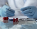 Thành lập kho dự trữ khẩn cấp toàn cầu vaccine ngừa bệnh do virus Ebola gây ra