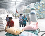 Báo Thái Lan: 'Chiến lược gạo khôn ngoan của Việt Nam'