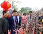 Không khí Tết ngập tràn tại Lễ hội hoa đào Nhật Tân