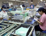 Doanh nghiệp FDI TP Hồ Chí Minh từng bước tái sản xuất