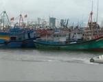 Khánh Hòa: Tiêm vaccine lưu động tại cảng cá, giúp ngư dân bám biển