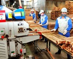 Hoa Kỳ khép lại vụ điều tra, không gây bất lợi cho xuất khẩu gỗ Việt Nam