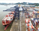 3 cảng Việt Nam trong bảng xếp hạng các cảng biển hoạt động hiệu quả nhất thế giới
