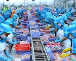 EVFTA tạo sức bật cho thương mại, đầu tư Việt Nam - EU