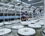Hoa Kỳ ban hành kết luận cuối cùng về chống bán phá giá với sợi PTY của Việt Nam