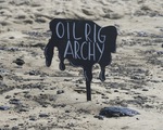 Tràn dầu nghiêm trọng ngoài khơi California, cá và chim chết trôi dạt vào bãi biển Huntington