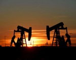 Người tiêu dùng Mỹ thắt “hầu bao” vì giá dầu tăng quá mạnh