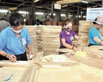 Ngành gỗ có thể cán đích mục tiêu xuất khẩu 14,5 tỷ USD