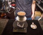 Giá cà phê Arabica tăng mạnh, cơ hội cho Robusta Việt Nam?