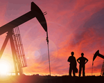 OPEC+ cân nhắc hủy bỏ kế hoạch tăng sản lượng dầu