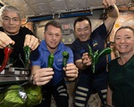 Bốn phi hành gia trên ISS chuẩn bị trở về Trái đất