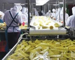 Nông sản, thực phẩm chế biến Việt Nam liên tục 'ghi dấu' trên bản đồ xuất khẩu