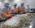 Quy định mới với doanh nghiệp xuất khẩu thực phẩm vào Trung Quốc
