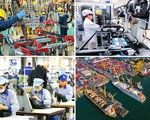 Diễn đàn Kinh tế Việt Nam 2021: Phục hồi và phát triển bền vững