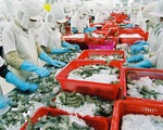 Thêm 23 doanh nghiệp thủy sản được xuất khẩu vào Trung Quốc