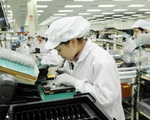 Việt Nam trở thành quốc gia có lao động nước ngoài nhiều nhất ở Nhật Bản