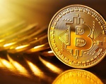 Bitcoin đạt kỷ lục mới trên 49.000 USD