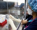 Hàn Quốc sử dụng vaccine AstraZeneca cho người trên 65 tuổi