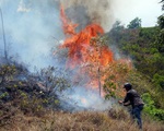 Nhiều nơi nắng khô, nguy cơ cháy rừng cao