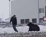 Kinh hoàng gấu tấn công người nuôi ở Nga