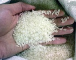 Hàn Quốc mở thầu mua gạo Việt Nam và một số nước