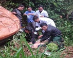 Nghệ An: Ô tô rơi xuống vực, 3 cán bộ huyện thương vong