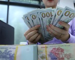 Bộ Tài chính Hoa Kỳ đánh giá không có đủ bằng chứng để xác định Việt Nam thao túng tiền tệ