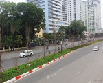 Hà Nội sẽ 'tạm biệt' hàng cây phong lá đỏ trên đường Nguyễn Chí Thanh