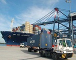 Đề xuất tăng giá dịch vụ bốc dỡ container tại cảng biển