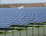 Nhật Bản tăng tỷ lệ năng lượng tái tạo