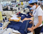Liên minh kinh tế Á - Âu đưa Việt Nam ra khỏi danh sách ưu đãi thuế quan GSP