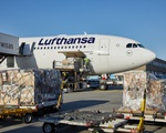 Vận tải hàng hóa “cứu” ngành hàng không châu Âu